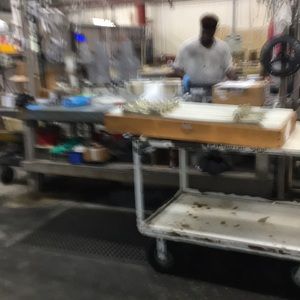 Meet your Posher, Earnestine